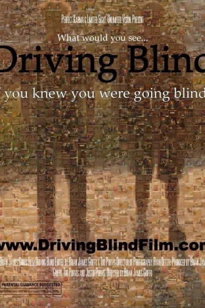 Driving Blind