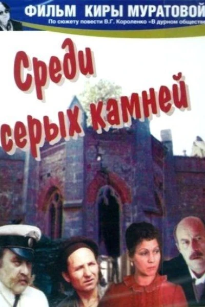 Sredi serykh kamney