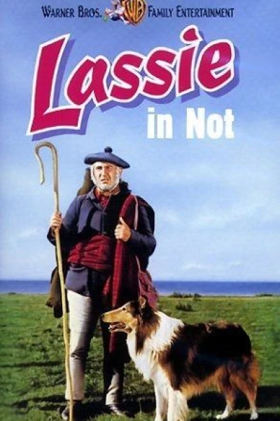 Lassie i nød