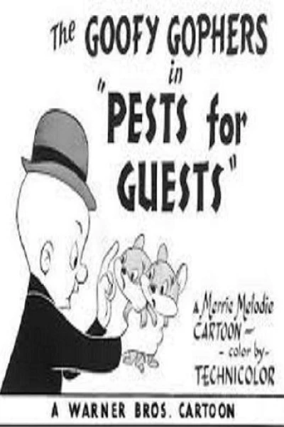 Pests for Guests