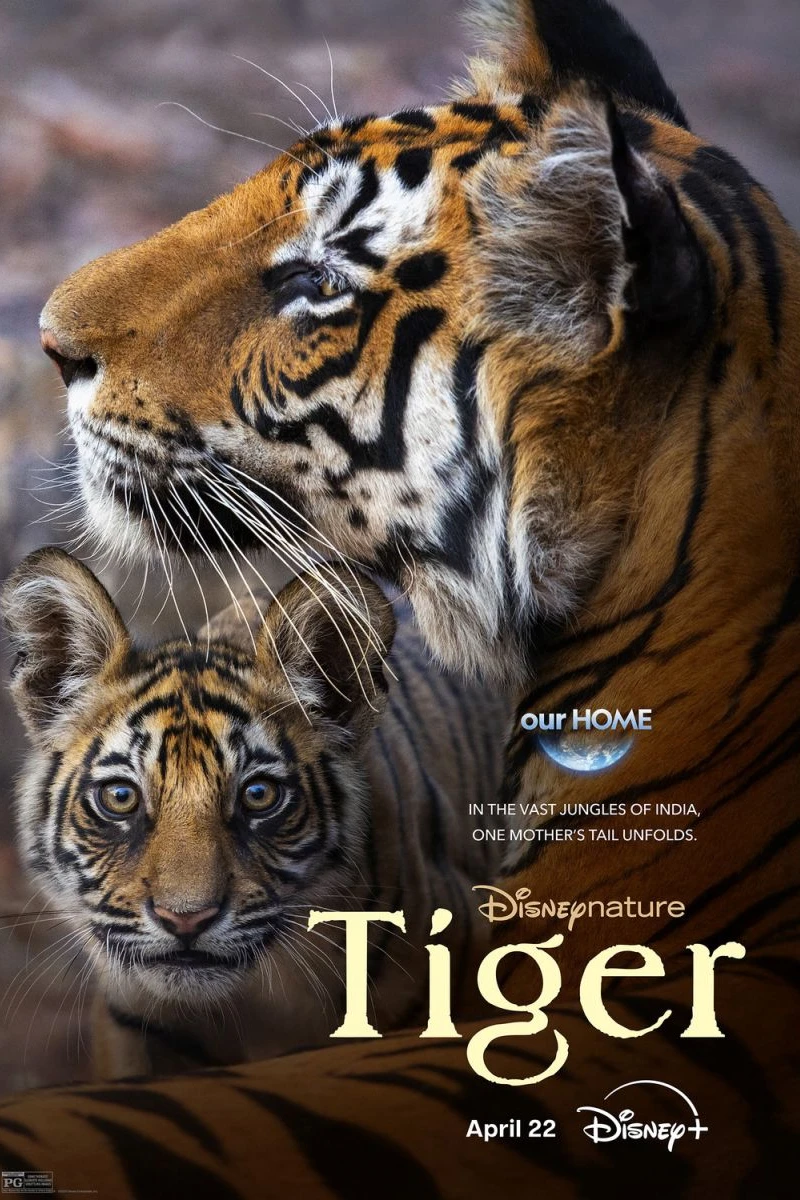 Tiger Plakat