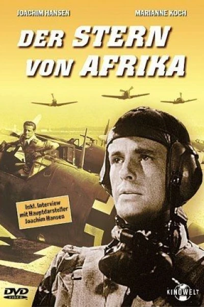 Der Stern von Afrika