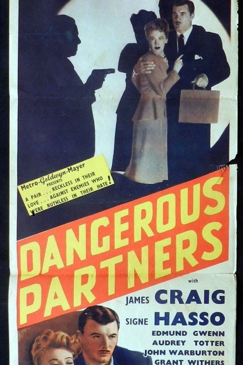 Dangerous Partners Plakat