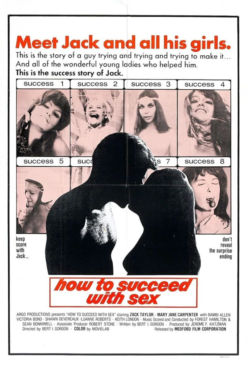 How to Succeed with Sex Plakat