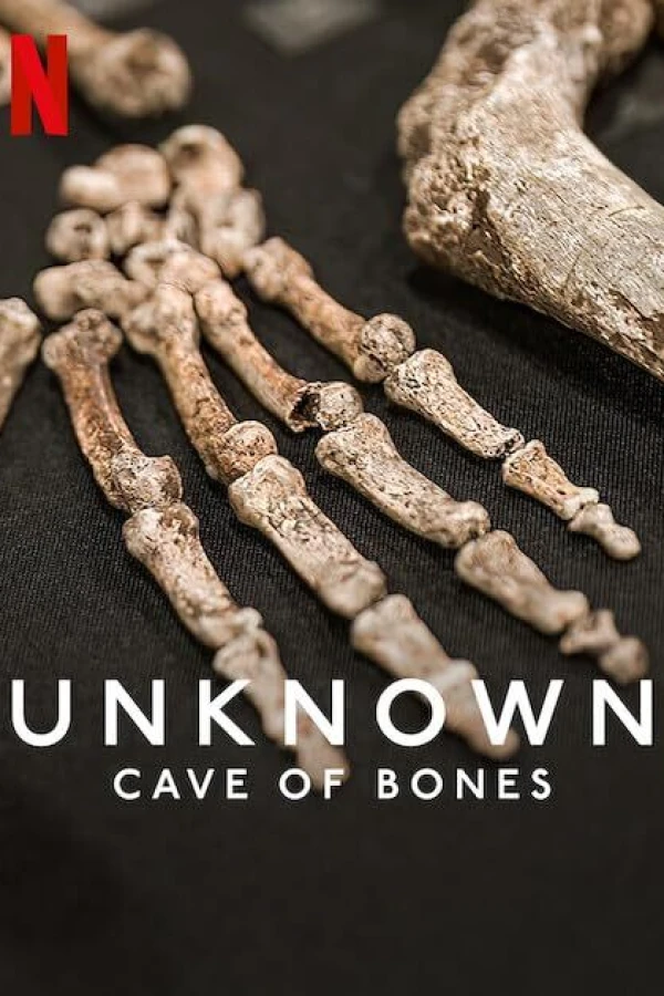 Unknown: Cave of Bones Plakat