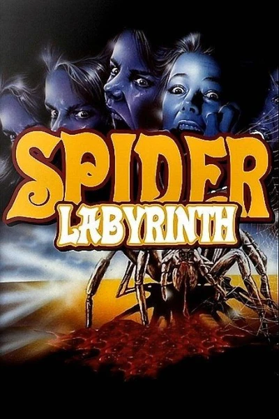 The Spider Labyrinth