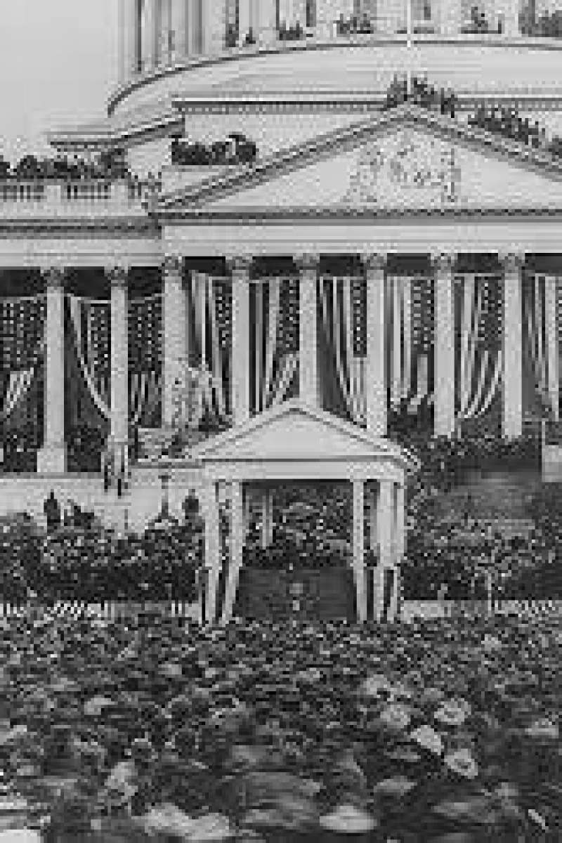 President McKinley Taking the Oath Plakat