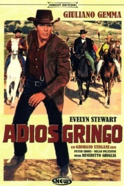 Adiós gringo