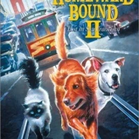 Homeward Bound II: Lost in San Francisco