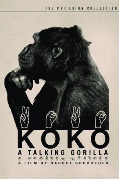 Koko: A Talking Gorilla