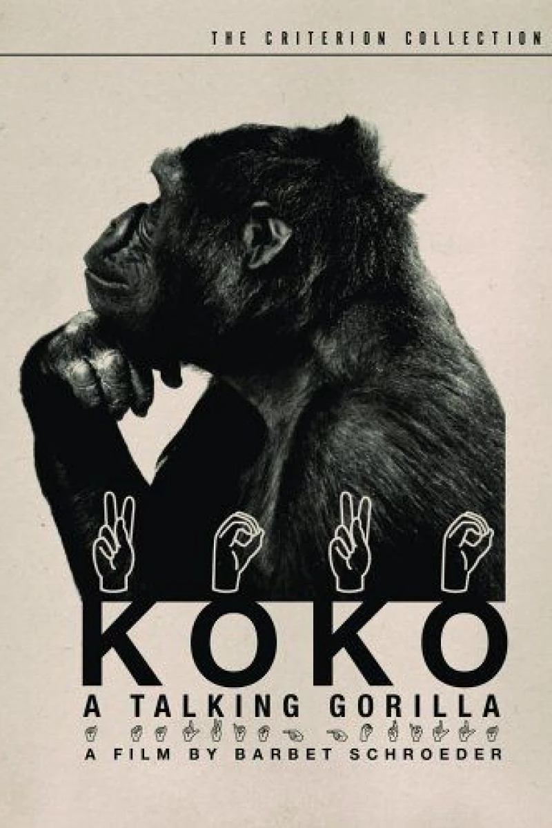 Koko: A Talking Gorilla Plakat