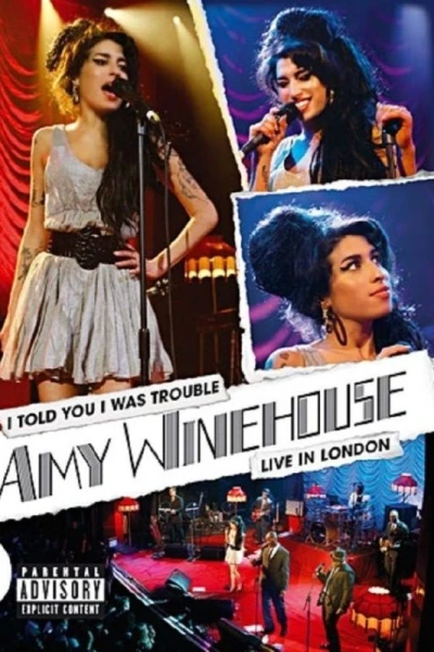 Amy Winehouse: I Told You I Was Trouble