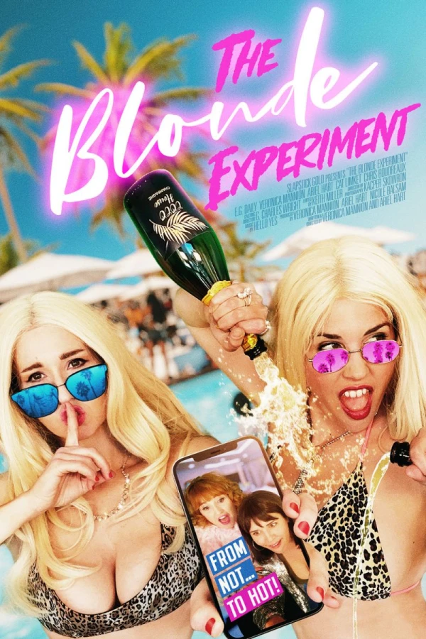 The Blonde Experiment Plakat