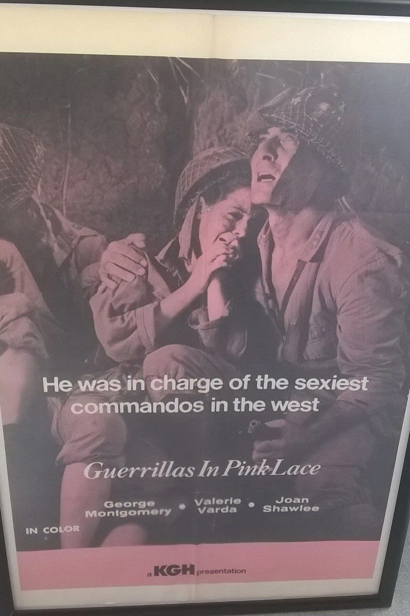 Guerillas in Pink Lace Plakat