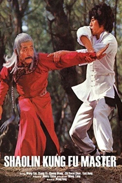 Shaolin Kung Fu Master