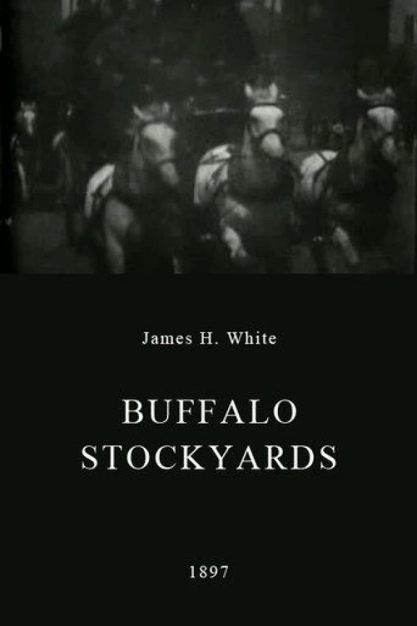 Buffalo Stockyards Plakat