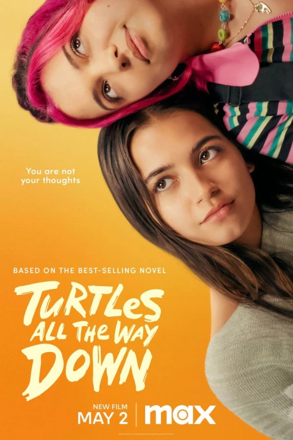 Turtles All the Way Down Plakat