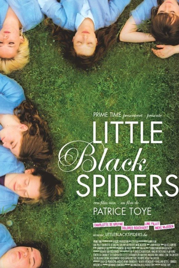 Little Black Spiders Plakat