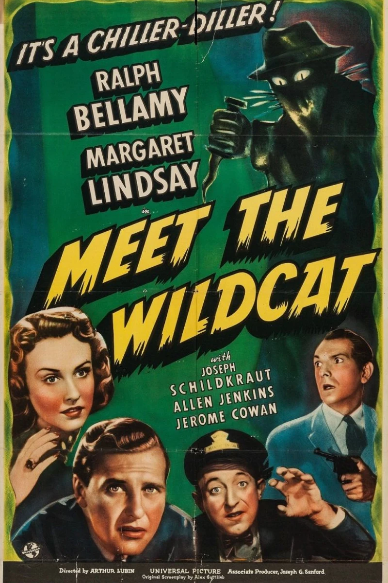 Meet the Wildcat Plakat