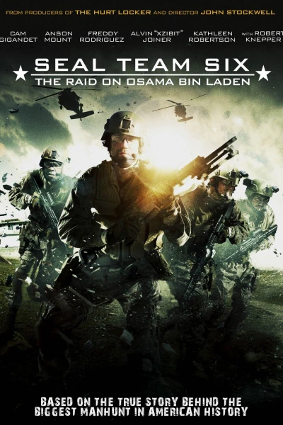 Seal Team Six: The Raid On Osama Bin Laden