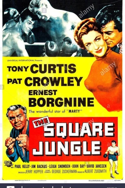 The Square Jungle