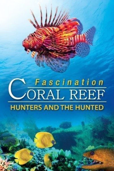 Fascination Coral Reef 3D: Hunters & the Hunted