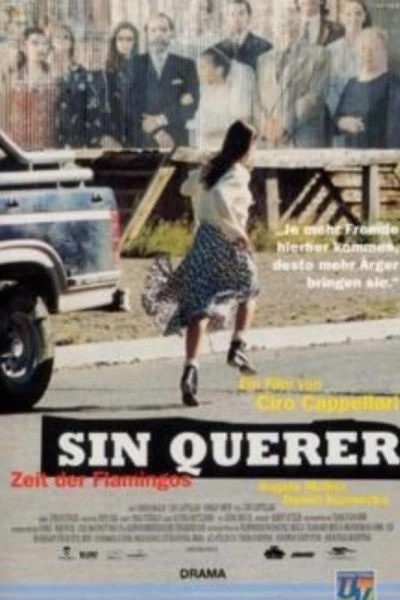 Sin querer