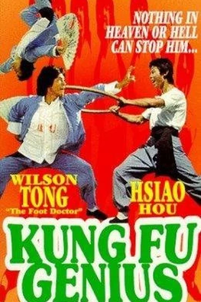 Kung Fu Genius