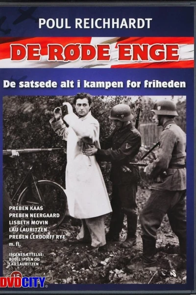 De Roede Enge