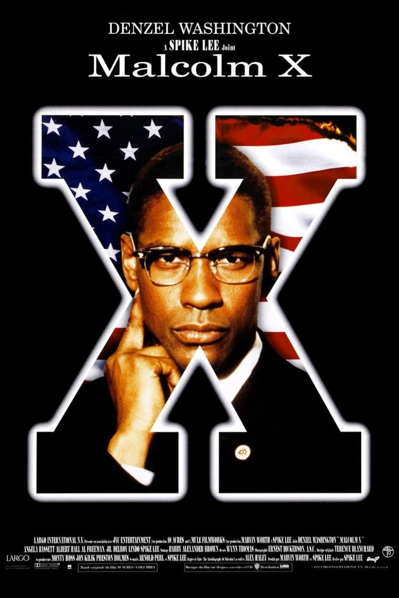 Malcolm X Plakat