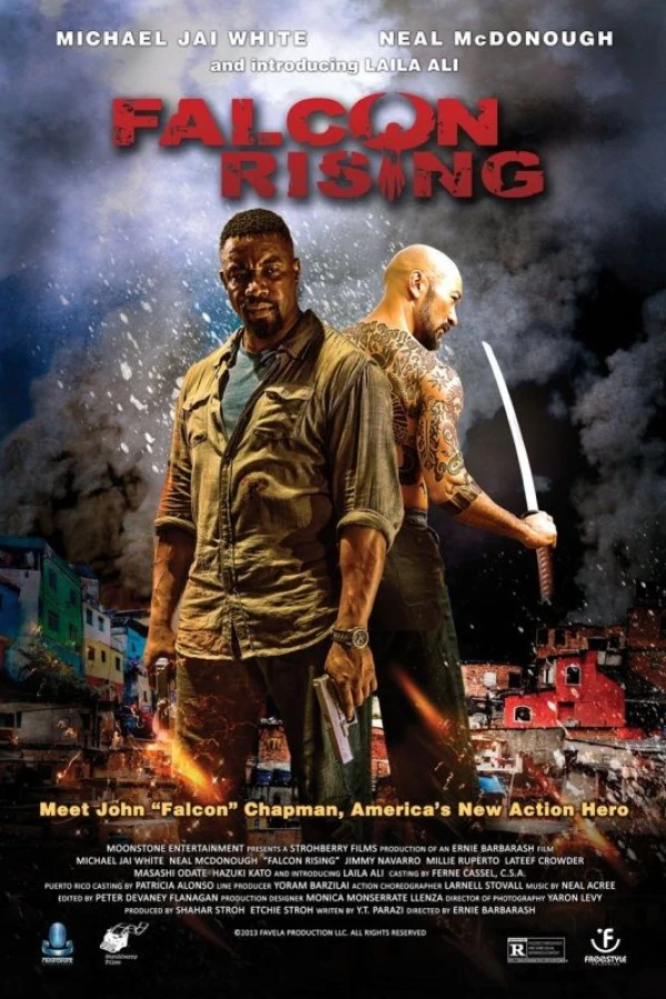 Falcon Rising Plakat