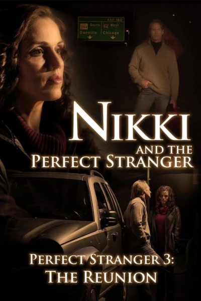 Nikki and the Perfect Stranger