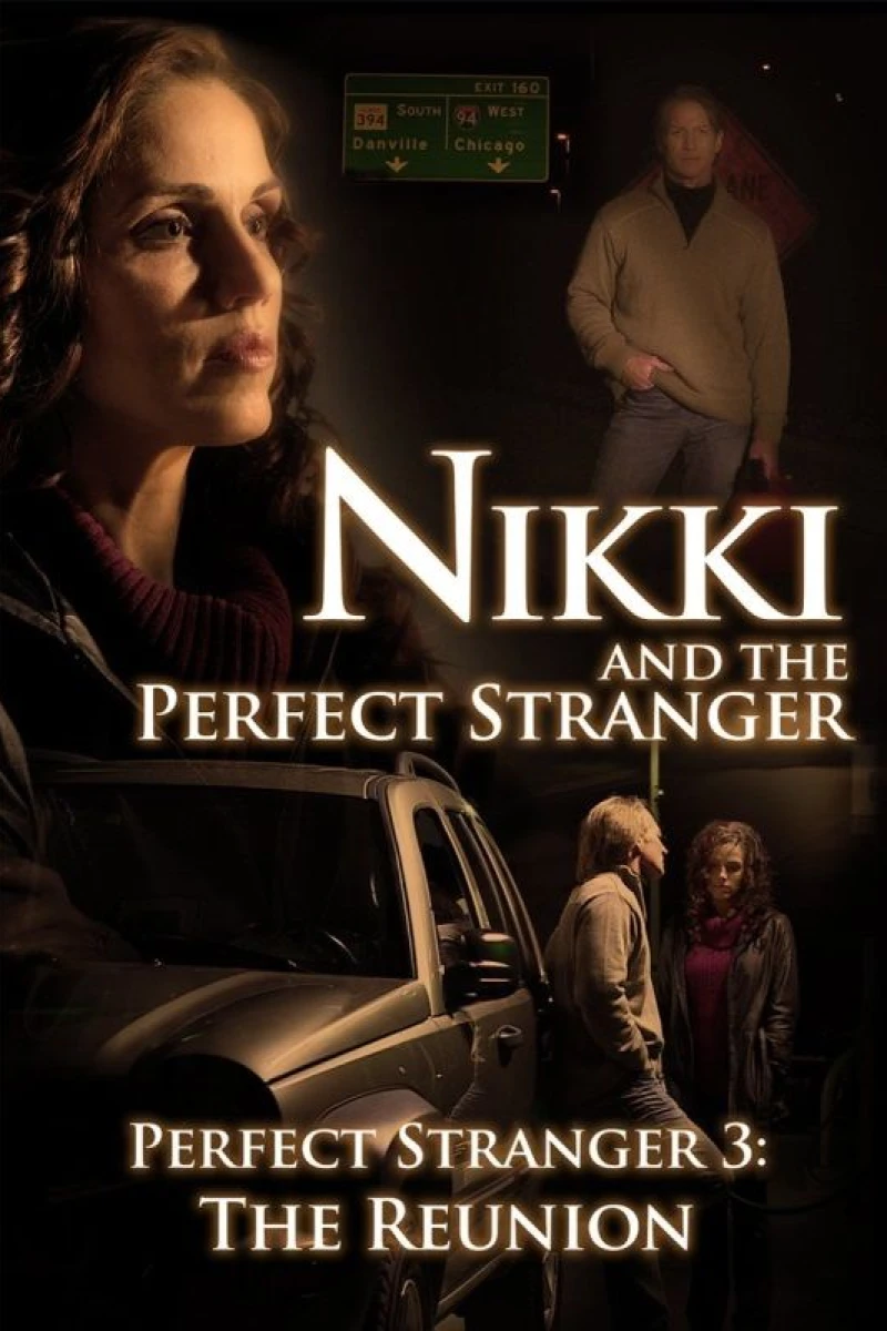 Nikki and the Perfect Stranger Plakat