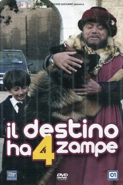 Il destino ha 4 zampe