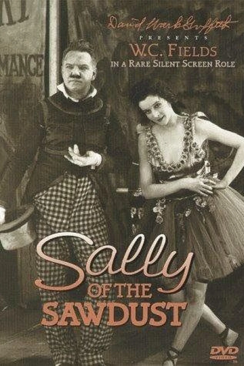 Sally of the Sawdust Plakat