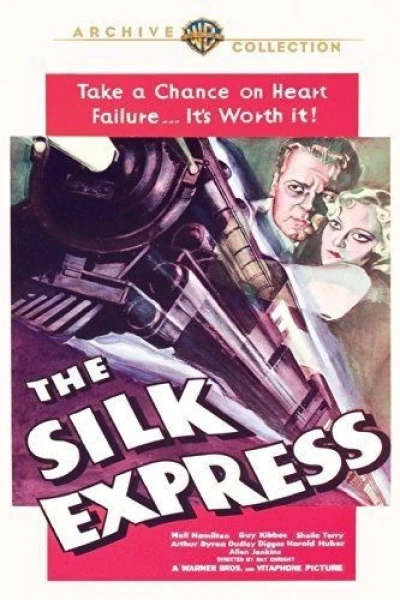 The Silk Express