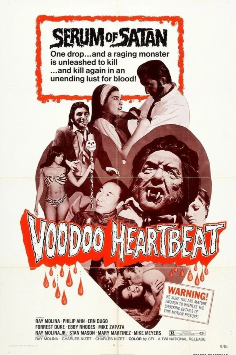 Voodoo Heartbeat Plakat