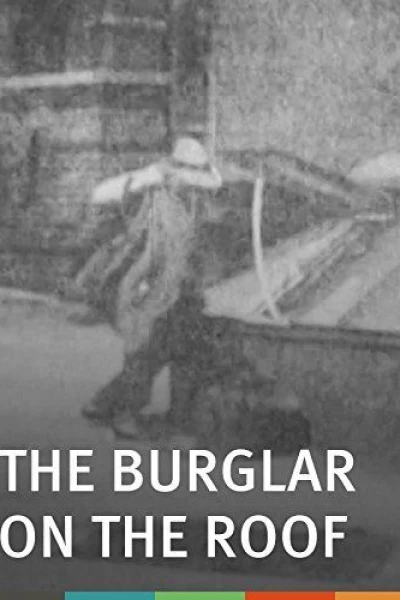 The Burglar on the Roof