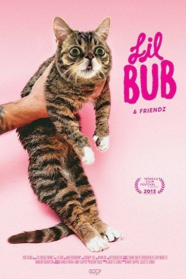 Lil Bub Friendz Plakat