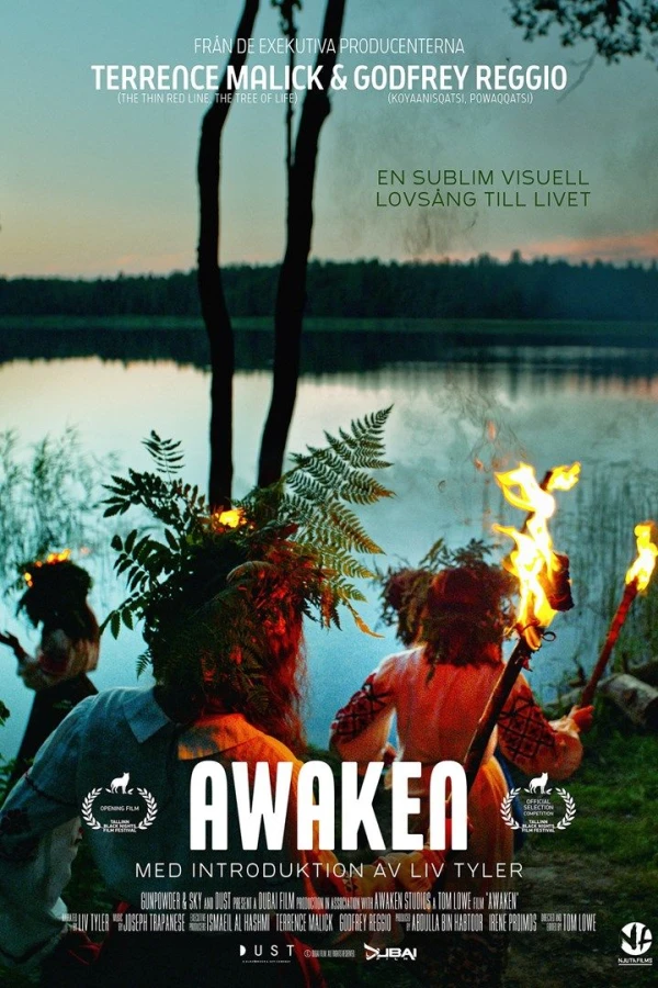 Awaken Plakat