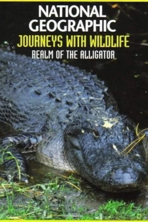 Realm of the Alligator Plakat