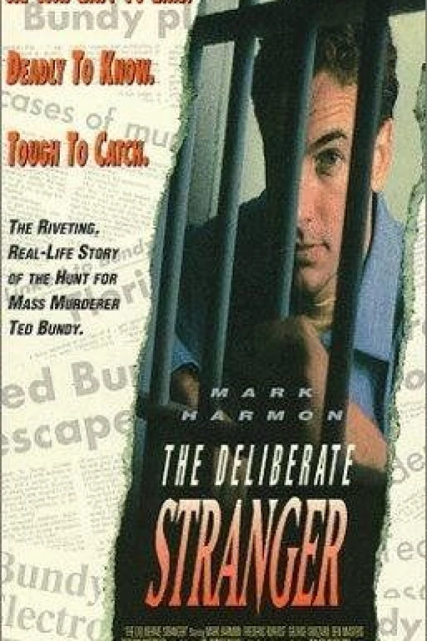 The Deliberate Stranger Plakat