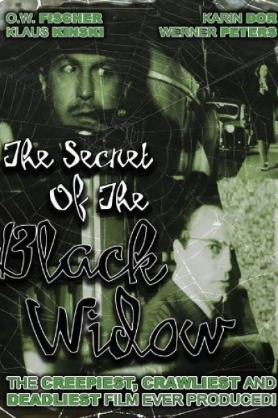 Das Geheimnis der schwarzen Witwe