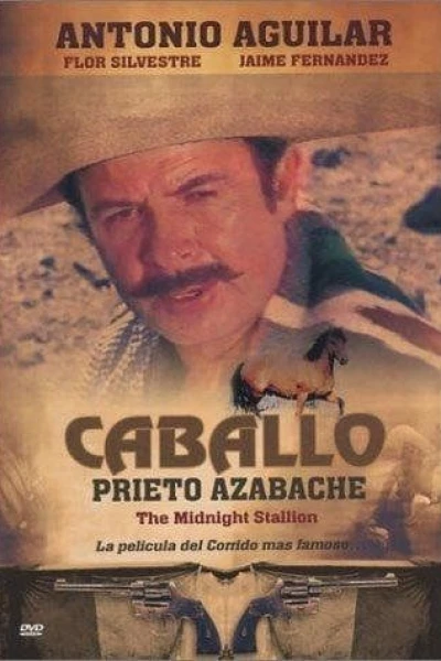 Caballo prieto azabache