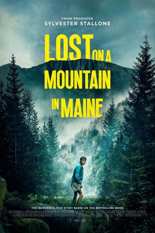 Lost on A Mountain in Maine Plakat