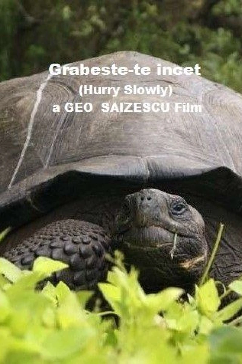 Grabeste-te încet Plakat