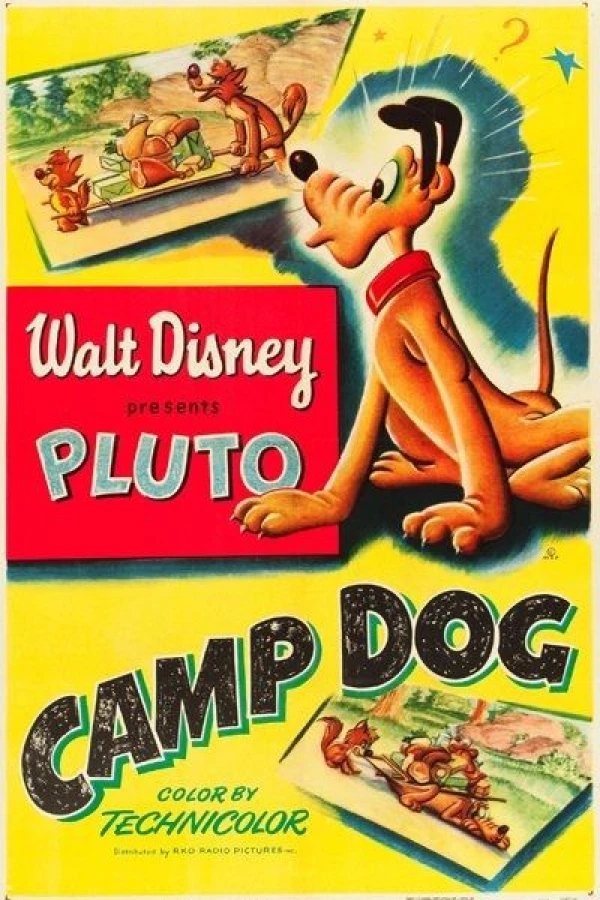 Camp Dog Plakat