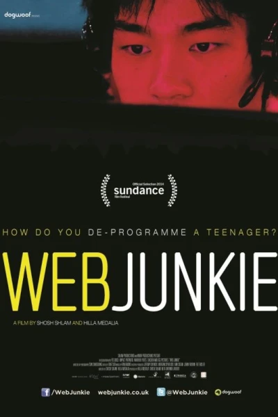 Web Junkie