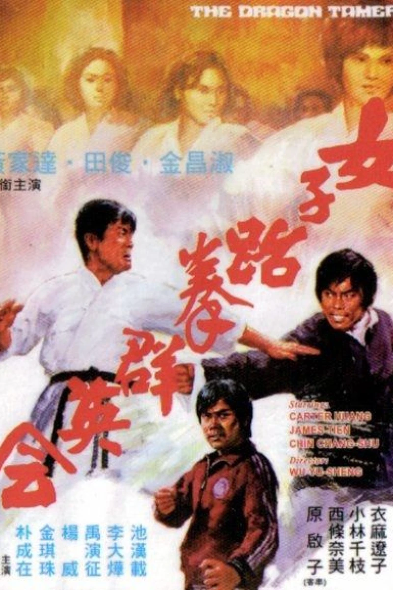 Nu zi tai quan qun ying hui Plakat