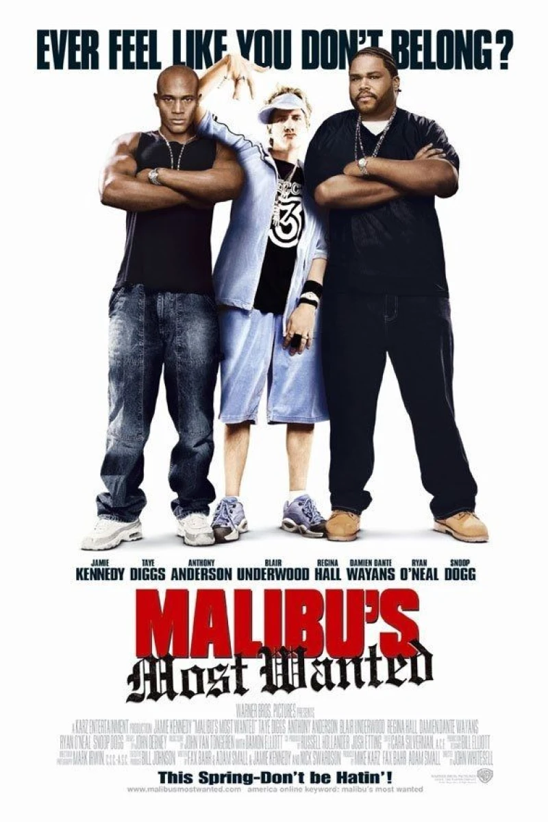 Malibu's Most Wanted Plakat
